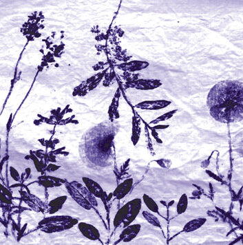 TATAKI Zomé- Samedi 25 Avril